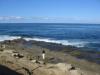 seashore La Jolla