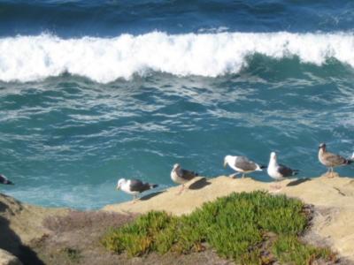 seashore La Jolla